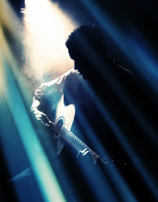Gitarrist Music Business Swissperform